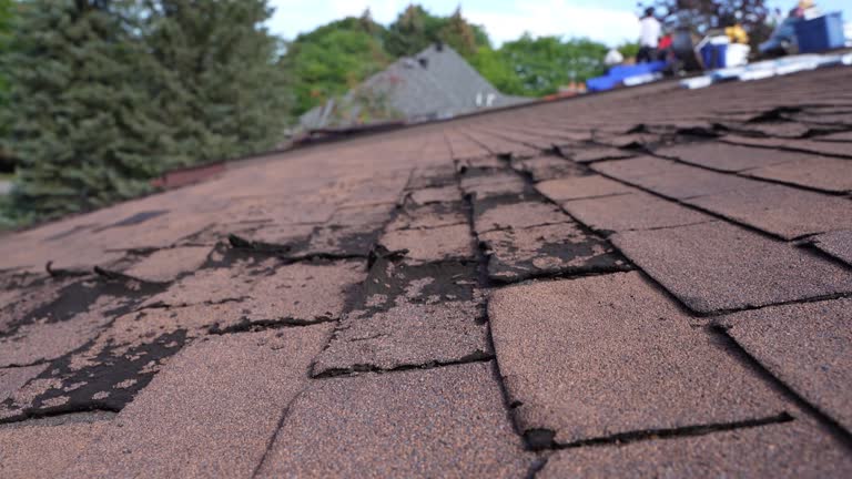 Best Asphalt Shingles Roofing  in Dunlap, TN